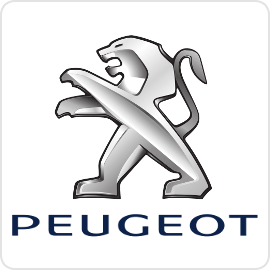 Peugeot Speed Limiters